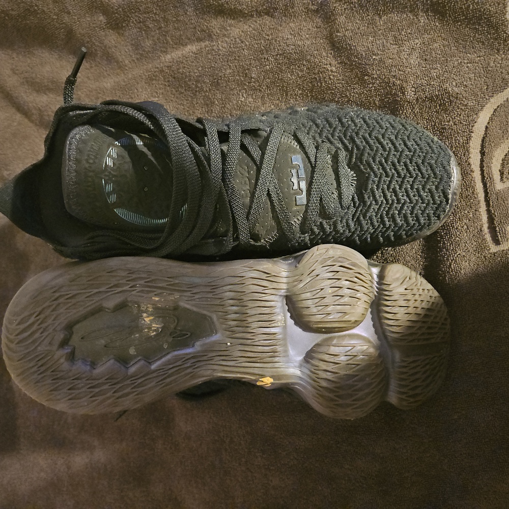 Lebron - Picture 3 of 3